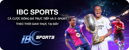 ibcsport vietnam